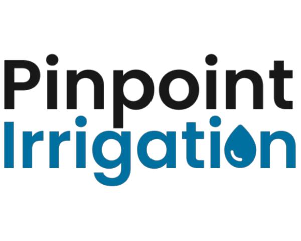 Pinpoint logo