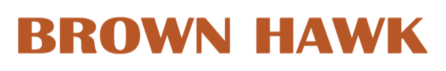 Brown Hawk
